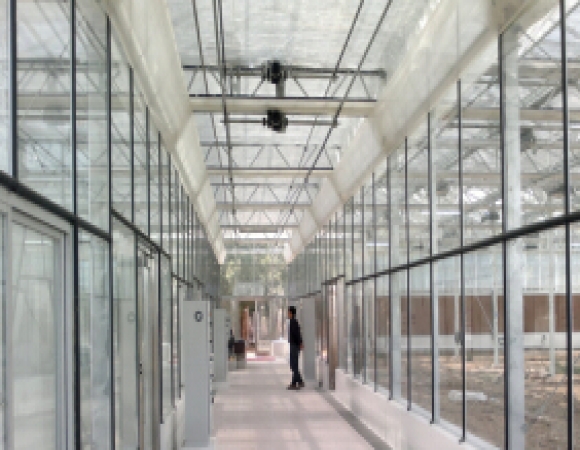 日照大学城科研玻璃温室项目