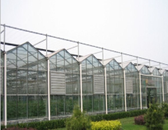 唐山花卉市场温室项目