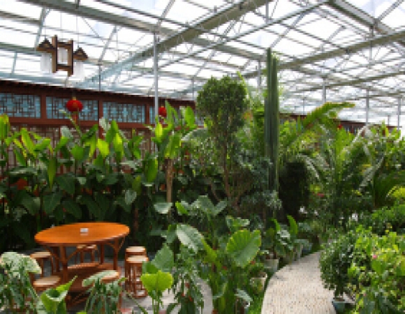 甘肃天水生态餐厅温室项目